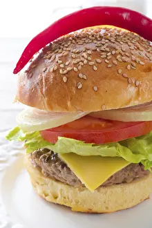 Cheeseburger Nutrition Impressions: Hamburger