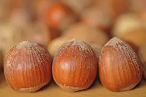 Hazelnut Nutrition Impressions: Hazelnuts