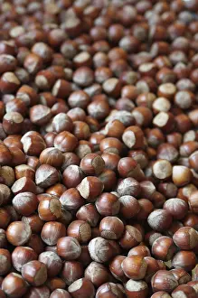 Close Up Hazelnuts Impressions: Hazelnuts