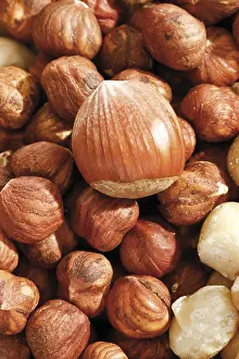 Indoor Food Studio Shots Impressions: Hazelnuts, full format