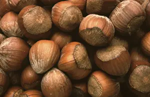 Empty Grocery Store Impressions: Hazelnuts, Hazelnuts
