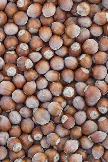Vegan Grocery List Impressions: Hazelnuts. Stack of hazelnuts. Food background
