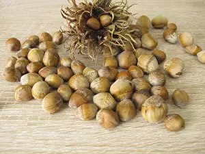 Fruit Stand Impressions: Hazelnuts from the tree hazel in the nutshell and a fruit stand