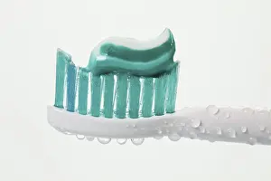 Dental Care Impressions: Head of a toothbrush with toothpaste