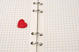 Symbolic Heart Picture Impressions: Heart on a checked notebook