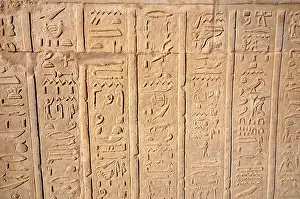 Hieroglyphic Writing System Impressions: Hierogliphic scripts engraved on a wall
