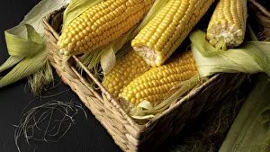 Thai Cuisine Images Impressions: High angle fresh corn composition