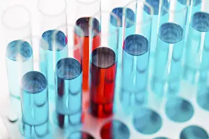 No People In Lab Impressions: High angle science elements assortment lab