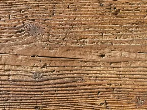 Uninhabited Woods Impressions: Holz