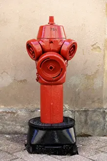 Fire Department Equipment Impressions: Hydrant