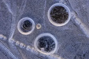 Northern Germany Winter Landscape Impressions: Ice forms in a puddle, abstract