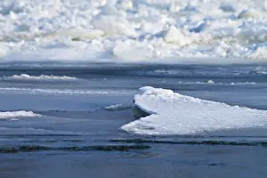 Deserted German Landscape Impressions: Ice on the Oder