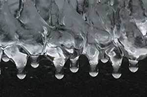 Icicle Close Up Impressions: Icicles