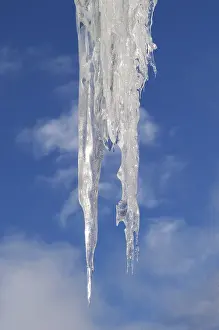 Frozen Winter Scene Impressions: Icicles