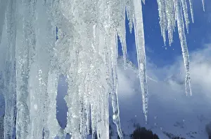 Icicles Close Up Impressions: Icicles