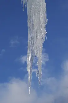 Icicle Close Up Impressions: Icicles