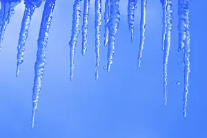 Frozen Landscape Impressions: Icicles
