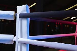 Boxing Ring Concept Impressions: Image of a boxing ring without anyone