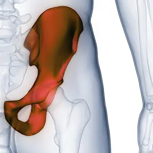 Joint Pain Diagnosis Impressions: Image converted using ifftoany