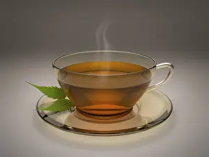 Hot Beverage Image Impressions: An image of a nice cup of tea
