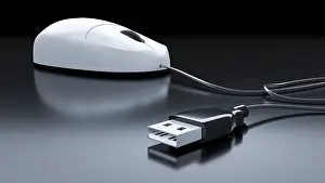 Personal Computer Accessories Impressions: An image of a typical computer mouse