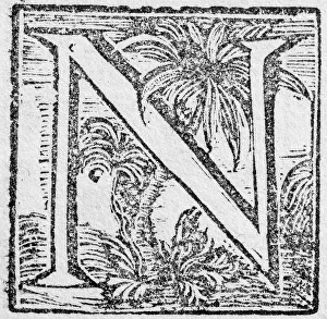 Historic American Illustration Impressions: Initial or an initial N, decorative initial letter