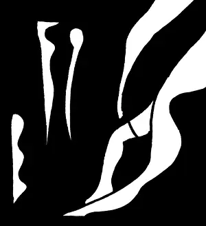 Black And White Drawing Impressions: Ink Pattern Eleven, abstract pattern