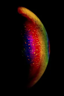 Natural Scientific Research Impressions: Interference of equal thickness