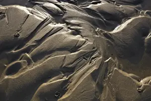 Nature Reserve Germany Impressions: Irregular structures in the mud flats