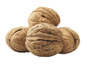 White Background Nuts Impressions: Kernel walnuts isolated on the white background