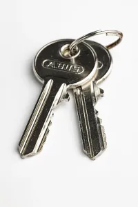 Single Colored Background Impressions: Key ring with two keys on a key ring