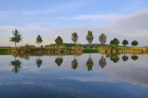 Thuringia Lake Impressions: Lake in spring with row of trees and reflection