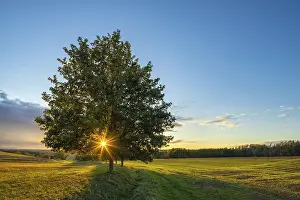 Germany Agricultural Scenery Impressions: Landscape with fields at sunset
