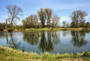 Landscape Photography Germany Impressions: Landscape on the river Oder in spring