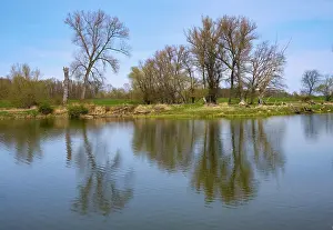 Spring In Germany Impressions: Landscape on the river Oder in spring