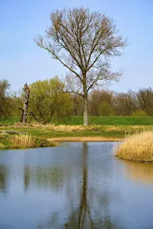 Landscape Photography Germany Impressions: Landscape on the river Oder in spring