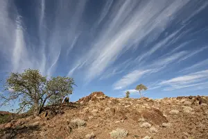 Namibia Rock Formations Impressions: Landscape with trees and clouds