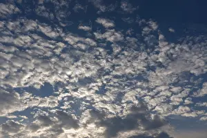 Altocumulus Clouds Impressions: Large fleecy clouds (Altocumulus)