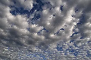 Altocumulus Clouds Impressions: Large fluffy clouds (Altocumulus)