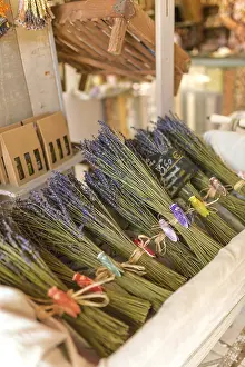 Fragrant Plant Impressions: Lavender bundle