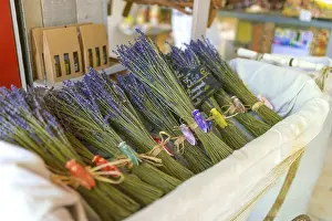 Fragrant Plant Impressions: Lavender bundle