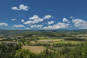 Lavender Fields In Provence Impressions: Lavender fields, meadows and cornfields