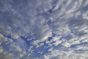Evening Sky Atmosphere Impressions: Layer of fluffy clouds, altocumulus clouds