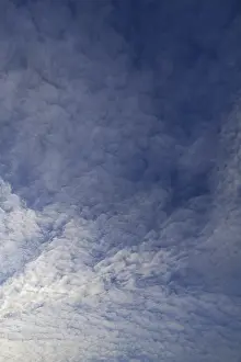 Cloud Formation Impressions: Layer of piled clouds, stratocumulus clouds