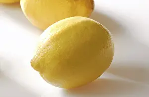 Fresh Lemons Impressions: Lemons