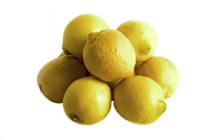 Yellow Citrus Fruit Impressions: Lemons