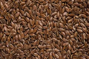 Deserted Food Still Life Impressions: Linseed kernels
