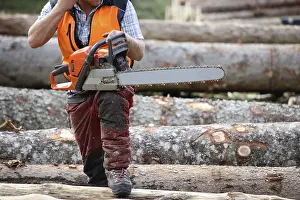 Timber Industry Europe Impressions: Logging work in the local forest