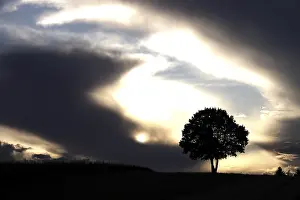 Dramatic Sky Europe Impressions: Lonely tree in front of a dramatic sky