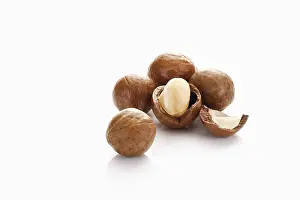Studio Shot Of Nuts Impressions: Macadamia nuts, one of them opened